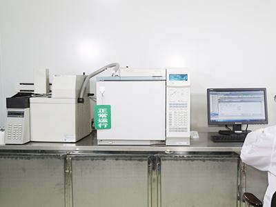 Gas Chromatograph